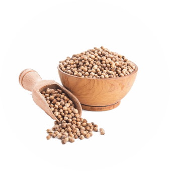 Coriander Seeds